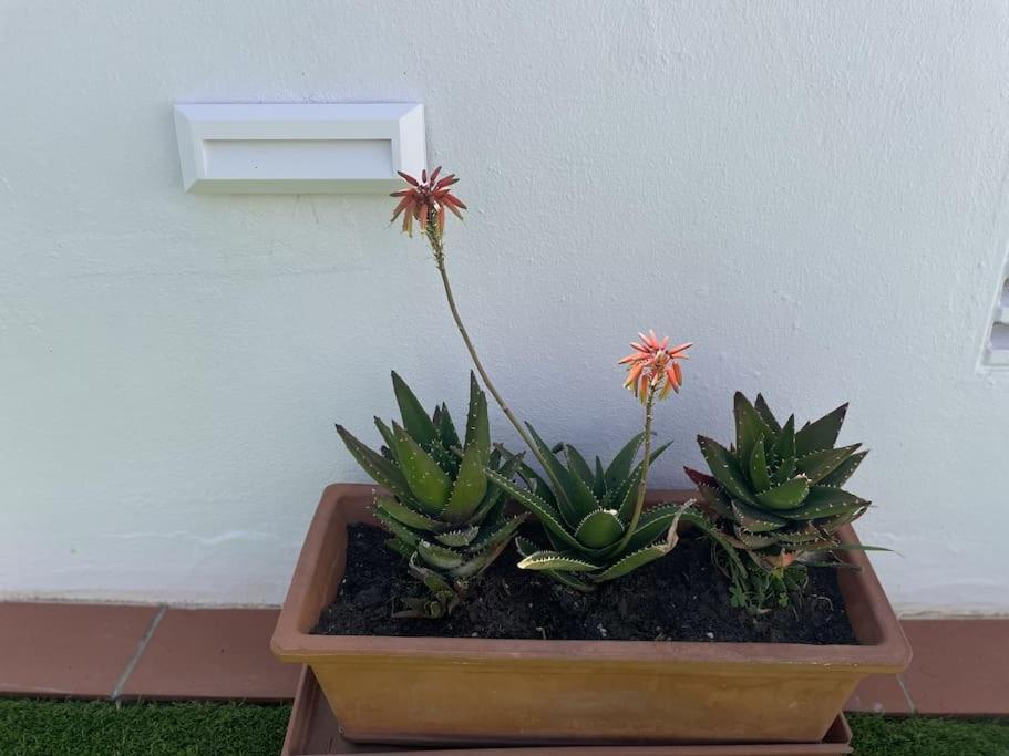 Casa Lola Conil, Azotea Al Mar Y Parking Solo Familias O Parejas Villa Conil De La Frontera Luaran gambar